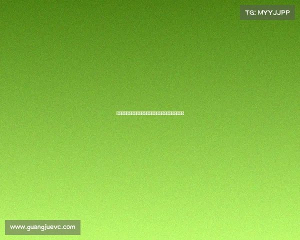 卢顿赛事深度聚焦英超新赛季每一轮激战亮点与球队荣耀征程